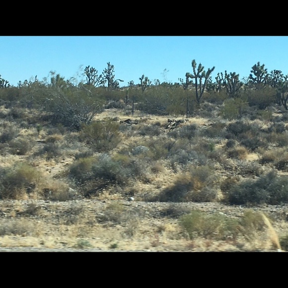 Meet your Posher, Tiffany - Picture 1 of 1